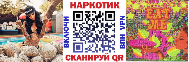 Купить закладку Каннабис  Героин  Меф мяу мяу  APVP  Галлюциногенные грибы  Заволжск