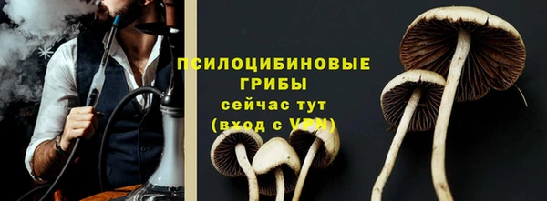 соль ск Осинники