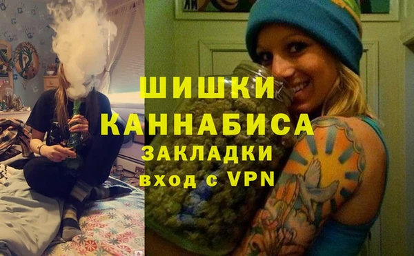 соль ск Осинники